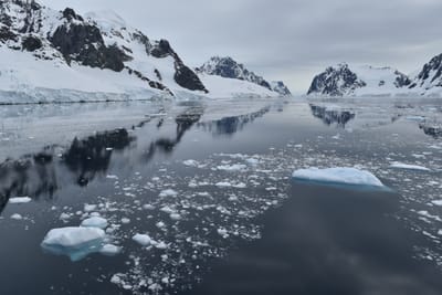 DSC_0586.JPG