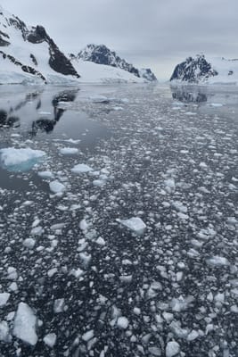 DSC_0587.JPG
