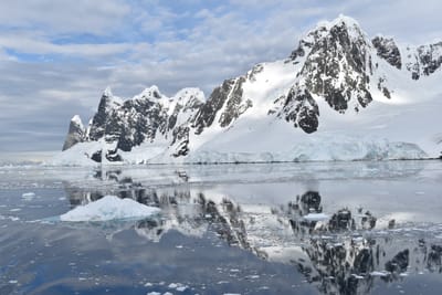 DSC_0593.JPG