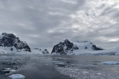 DSC_0598.JPG
