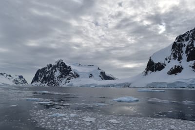 DSC_0599.JPG