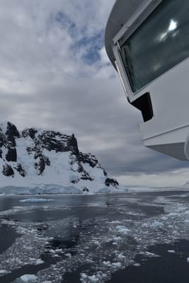 DSC_0602.JPG