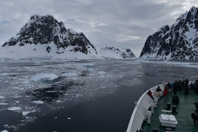 DSC_0603.JPG