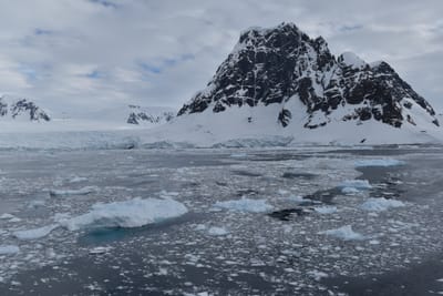 DSC_0604.JPG