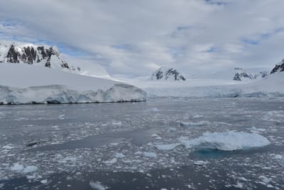 DSC_0605.JPG