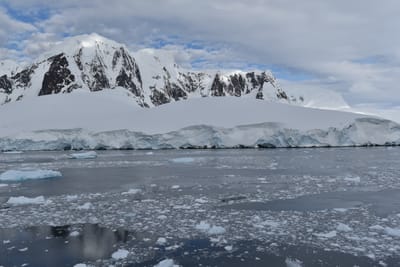 DSC_0606.JPG