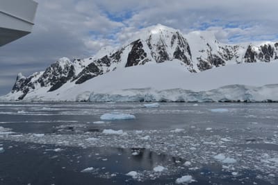 DSC_0607.JPG