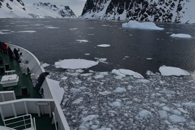 DSC_0612.JPG