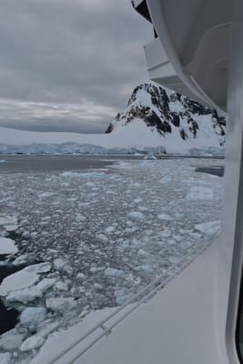 DSC_0613.JPG