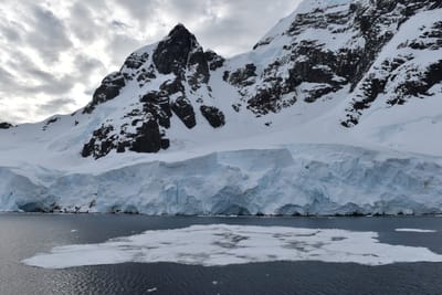 DSC_0625.JPG