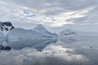 DSC_0635.JPG