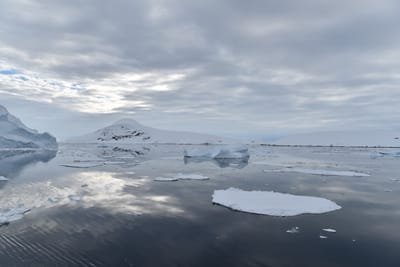 DSC_0637.JPG