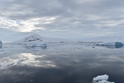 DSC_0638.JPG