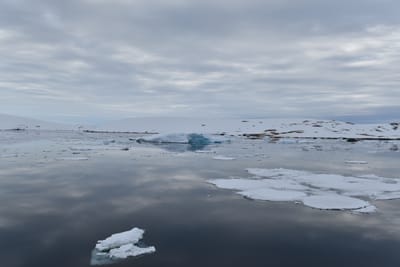 DSC_0639.JPG
