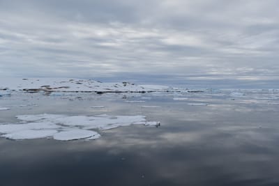 DSC_0640.JPG