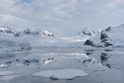 DSC_0642.JPG