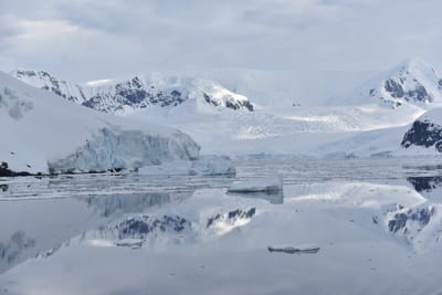 DSC_0643.JPG