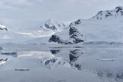 DSC_0644.JPG