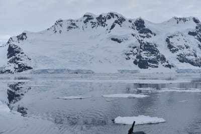 DSC_0645.JPG