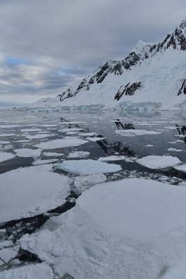 DSC_0650.JPG
