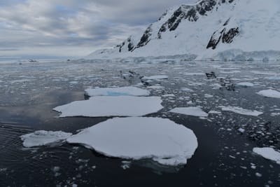 DSC_0671.JPG