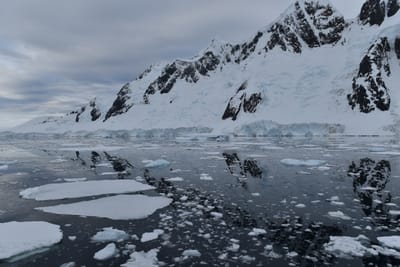 DSC_0673.JPG