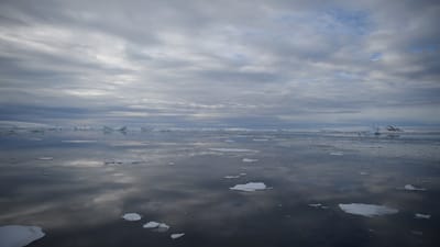 DSC_0675.MOV