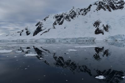 DSC_0676.JPG