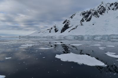DSC_0677.JPG