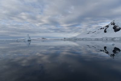 DSC_0683.JPG