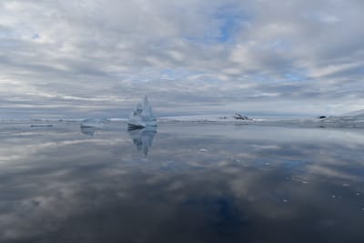 DSC_0684.JPG