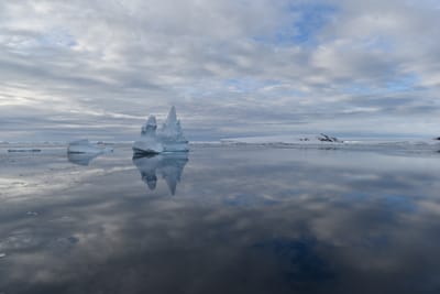 DSC_0685.JPG