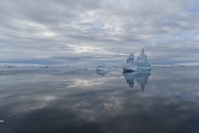 DSC_0686.JPG