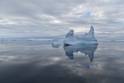 DSC_0689.JPG