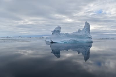 DSC_0690.JPG