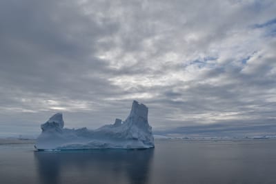 DSC_0696.JPG