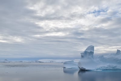 DSC_0698.JPG
