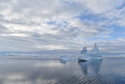 DSC_0699.JPG