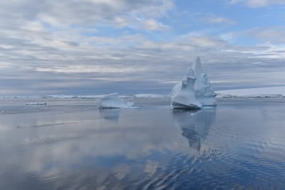 DSC_0702.JPG