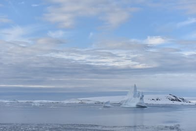 DSC_0703.JPG