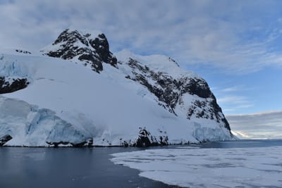 DSC_0704.JPG