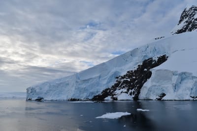 DSC_0706.JPG