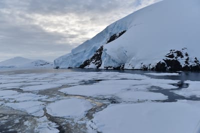 DSC_0707.JPG