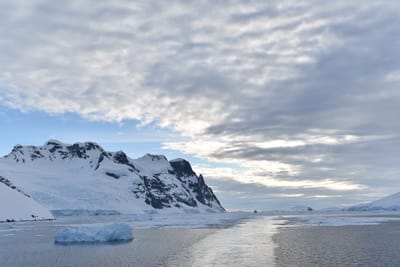 DSC_0708.JPG