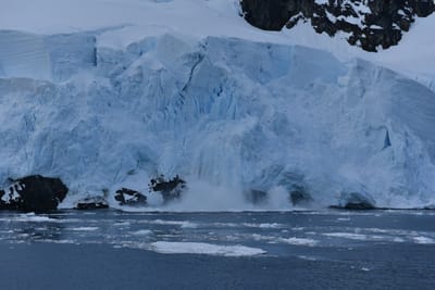 DSC_0709.JPG