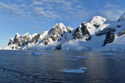 DSC_0729.JPG