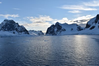DSC_0730.JPG