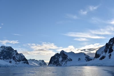 DSC_0731.JPG