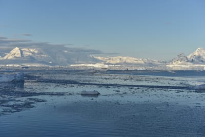 DSC_0749.JPG