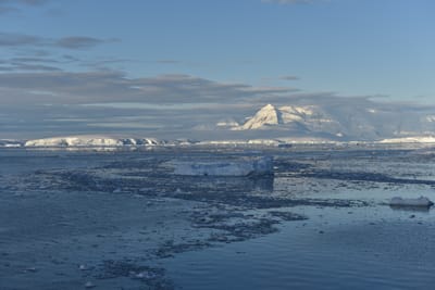 DSC_0750.JPG